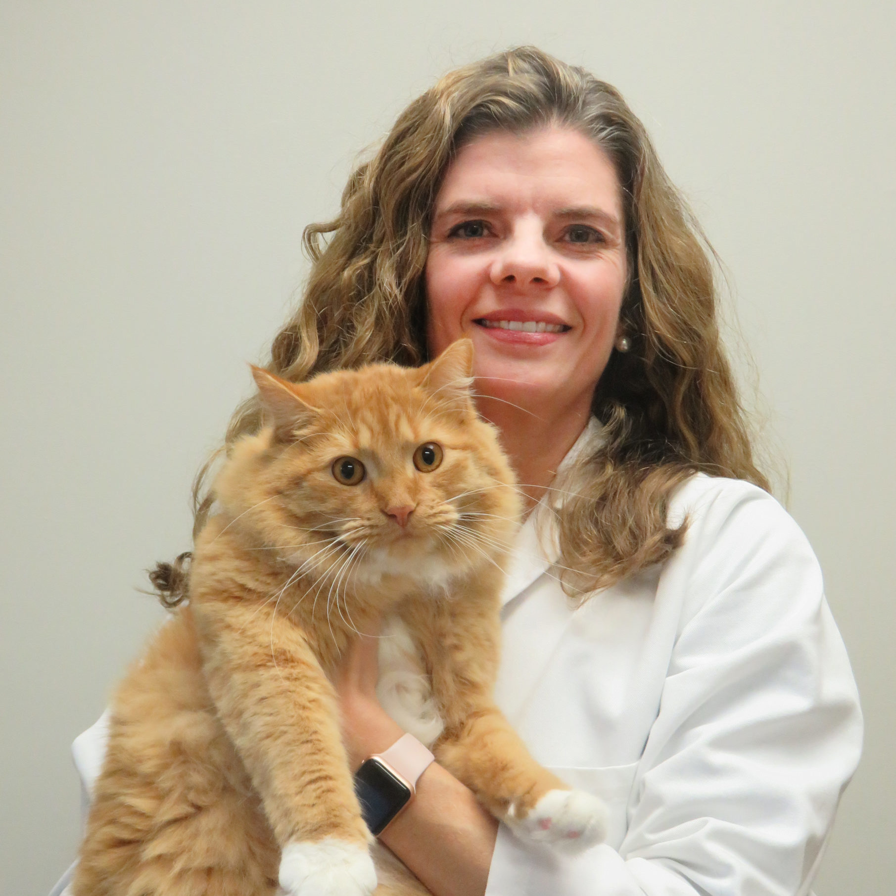 Dr. Amy Sebelien St. Boni Pet Hospital