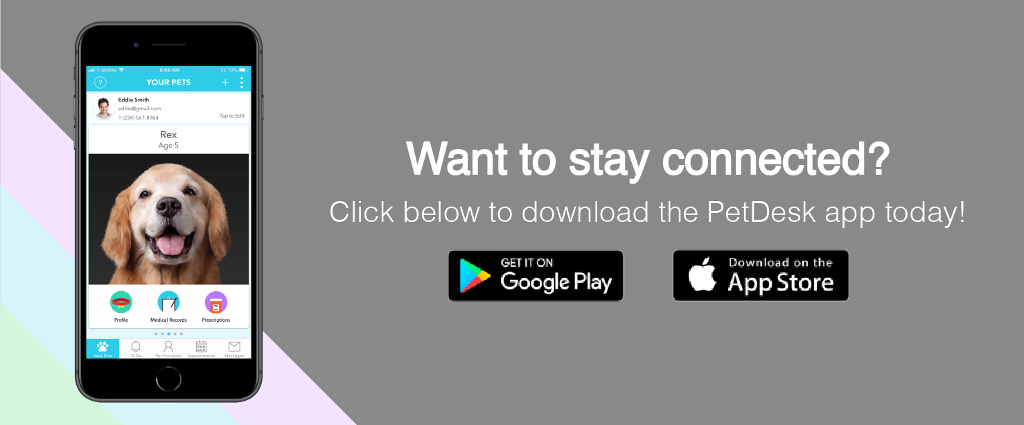 Download Our App | St. Boni Pet Hospital